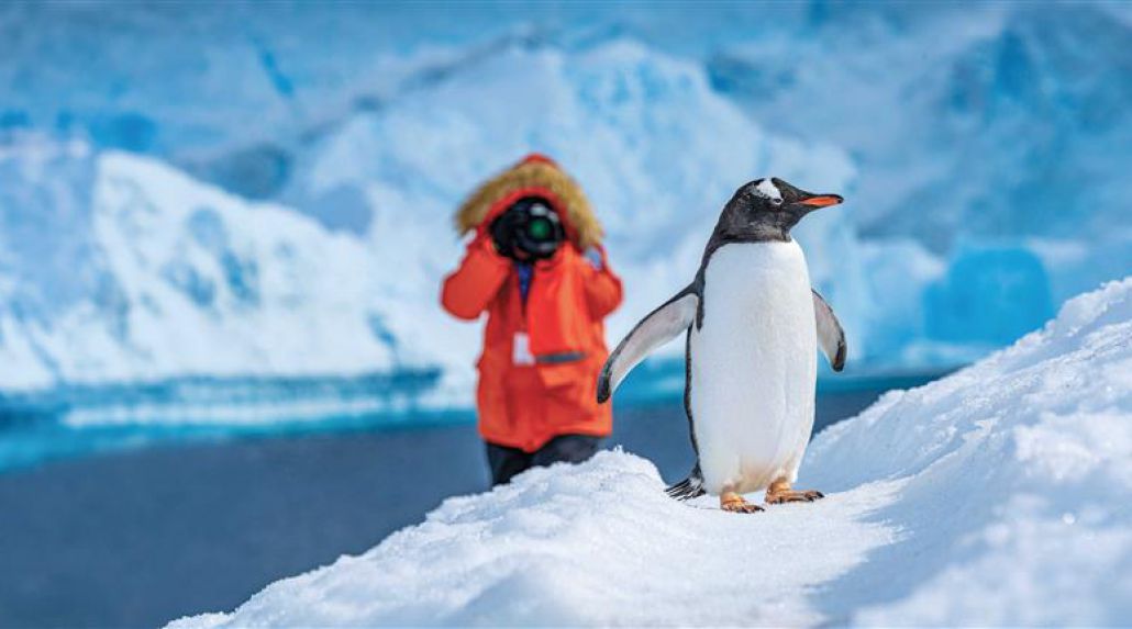 12-Day Antarctica Voyage With National Geographic-Lindblad Expeditions